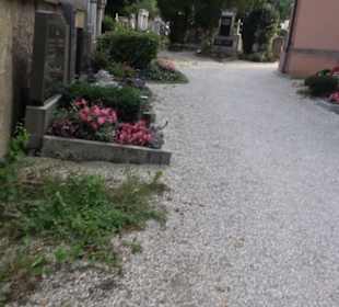 Severinsfriedhof
