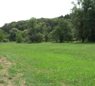 Wanderrunde Emeringen zum Rechtenstein
