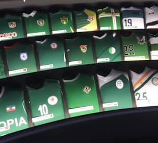 FIFA World Football Museum