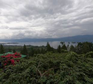 Aussicht auf den Tobasee