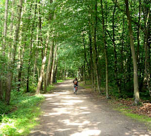 Spaziergang durch den Stadtwald Verden