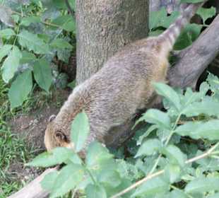 Kameltheater & Weißer Hof