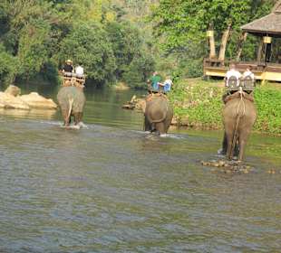 Ausflug zum Elefantenpark