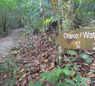 Wg zum 12. Wasserfall