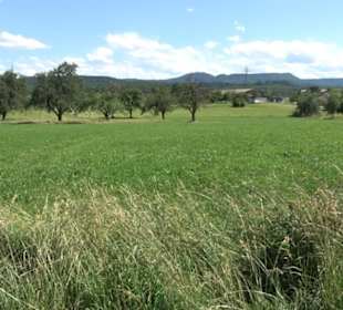 Eduard Lucas Musterobstgarten Mähringen