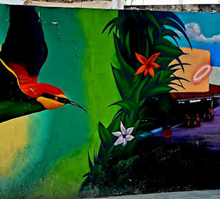 Stadtrundgang Playa del Carmen / Playacar