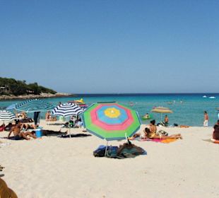 Traumhafter Strand Gala Agulla