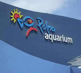 Aquarium an der Playa de Palma
