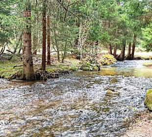 Lenzerheide Wandern 