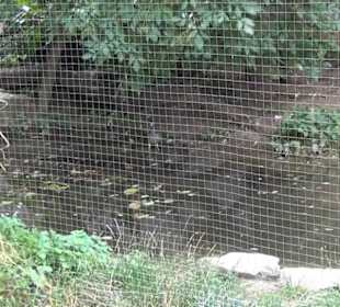 Vogelfreifluggelände