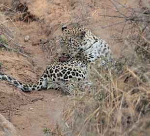 Nach dem Essen, waschen nicht vergessen