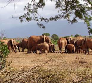 Wasserloch an Sentrim Lodge