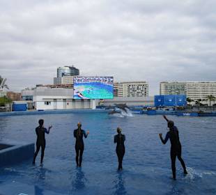 Aquarium / Oceanongrafic