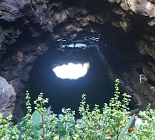 Jameos del Agua