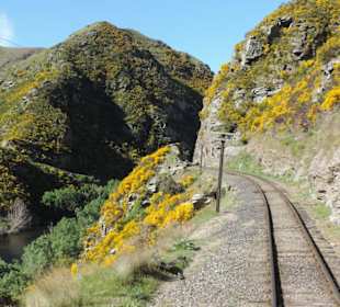 Mit der Taieri Railway durch die Natur Neuselands