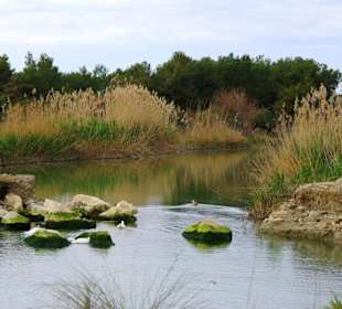 Zum kleinen Fischerhafen