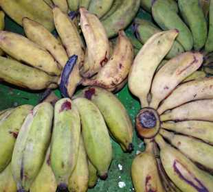 Rundgang über den Petit Marché von Saint-Denis