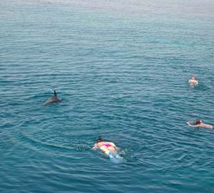 Ja wartet wir kommen !