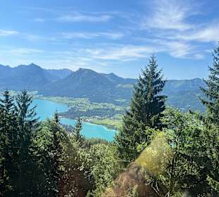 Ausblick