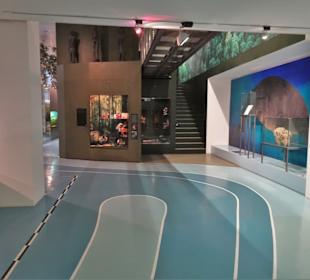 Rundgang durch das Übersee-Museum in Bremen