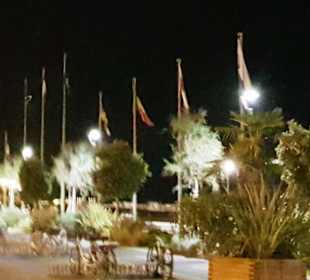 Am Abend Zenithplatz