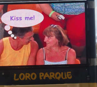 Wenn man nicht aufpasste