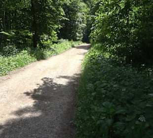 Premiumwanderweg "hochgelegen"