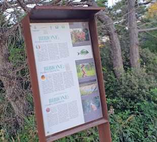 Überall Info-Schilder Orchideen usw.