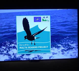 National Aquarium Malta