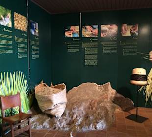 Korbherstellung in Bildern