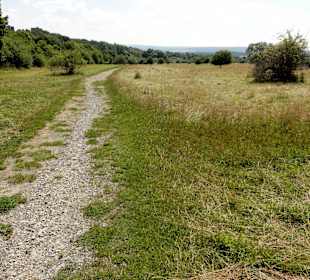 Impressionen aus dem Naturschutzgebiet
