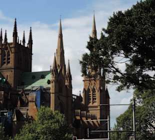 Mit dem Hop-on hop-off Bus in Sydney unterwegs