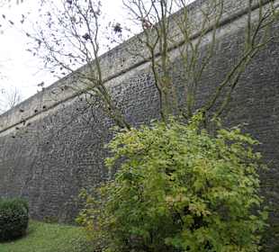 In der Parkanlage Luitpoldgraben in Würzburg