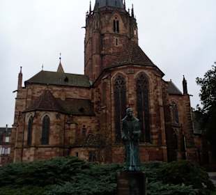Altstadt Wissembourg in Wissembourg