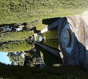 Dettaglio del giardino