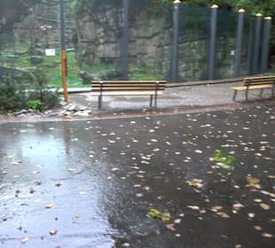 Tierpark 