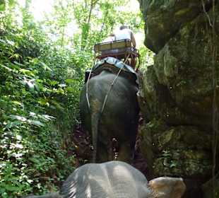 Khao Sok Tour mit Mogli