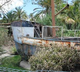 Alligatorteich mit Schiffswrack