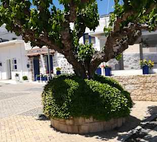 Stadtrundgang Piskopiano