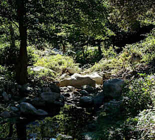 Wanderung an der Massane