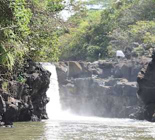 Ausflug zur Ile aux Cerfs