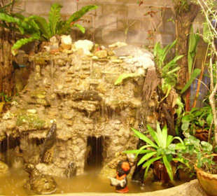 Wasserfall im Khao Niau