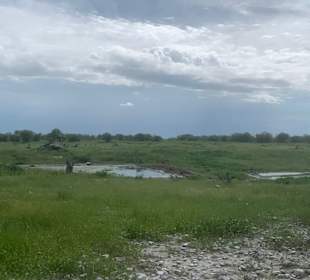Etosha Park Wasser