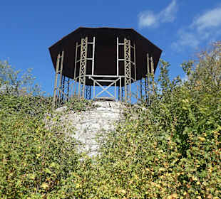 Über den Stein-Wein-Pfad durch den Weinberg