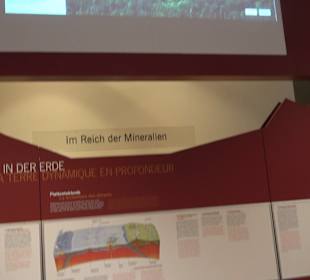 Staatliches Naturkunde Museum