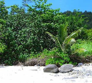 Spiaggia a Coral Island