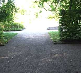 Botanischer Garten München