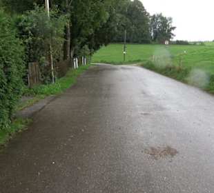 Kapelle St. Koloman Weipertshausen