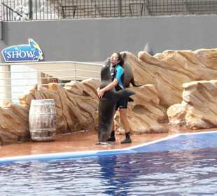 Marineland