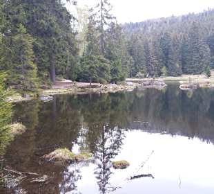 Wandern Drachselsried